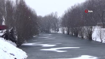 Muş'ta Dereler Dondu, Ağaçlar Buz Kesti
