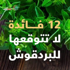 فيديو معلوماتى..12  فائدة لا تتوقعها للبردقوش