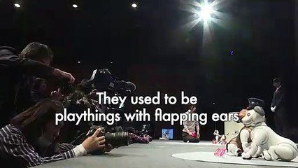 Paw patrol: Sony offers robocop dog at home