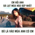 Em hỏi anh Đà Lạt mùa nào là đẹp nhất - Đó là mùa anh có em