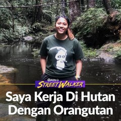 Saya Kerja Di Hutan Dengan Orangutan
