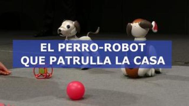 Aibo Policía , el perro-robot que patrulla la casa