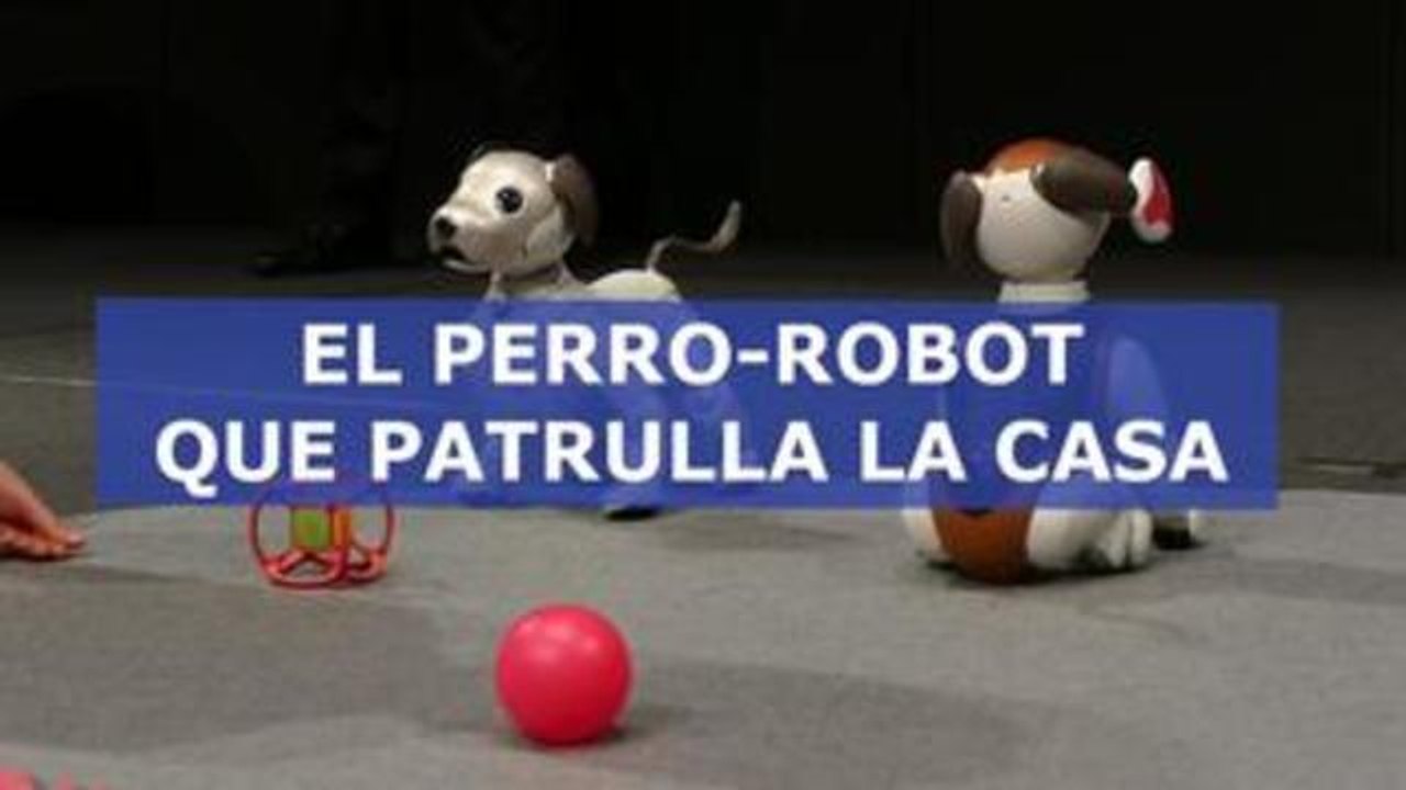 "Aibo Policía", el perro-robot que patrulla la casa