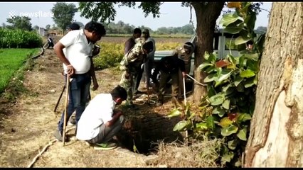 Forest officials rescue lion cub from deep well in West India