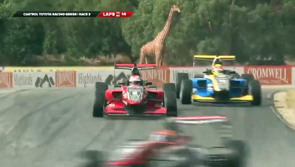 Liam Lawson Race 3 Highlights | TRS - Highlands 2019