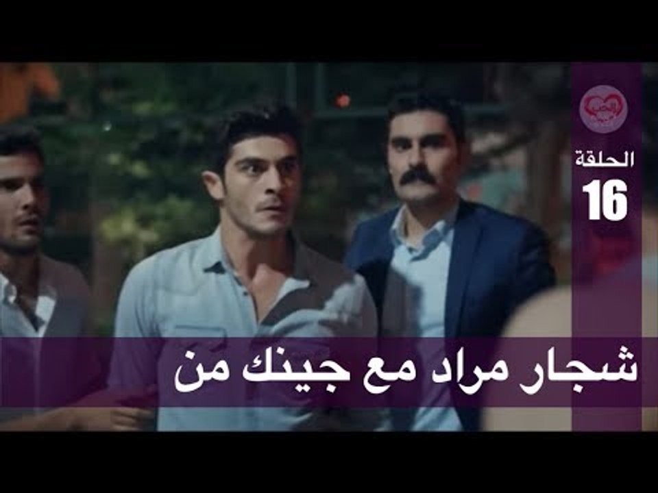 الحب لا يفهم الكلام – الحلقة 16 | شجار مراد مع...
