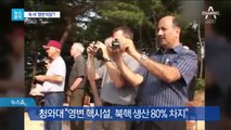 [뉴스분석]북·미 ‘영변 빅딜’?…최선희 “영변 폐기 α”