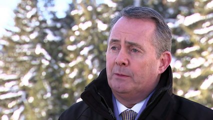 Fox defends UK trade policy at Davos