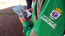 'Cidadão em trânsito': Cettrans realiza ação educativa no Centro
