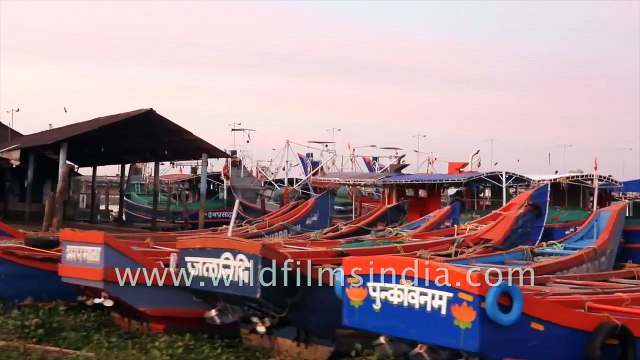 Kochi Harbour Cruise off Kerala's Arabian Sea coast