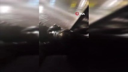 Poseidon Heykeli Fırtınaya Direnemedi