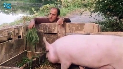 Адриано Челентано - Лучшие фразы из фильма