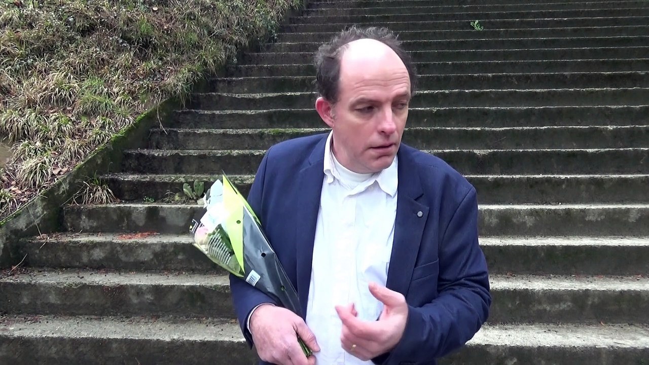 Remake Le Professionnel (Voix originales)