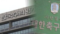 성범죄 축구 감독 또 성추행...관련 기관은 책임 떠넘기기 / YTN