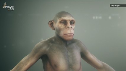 No We Aren’t X-Men, Humans Are Apparently Mutating Slower Than Ever Before