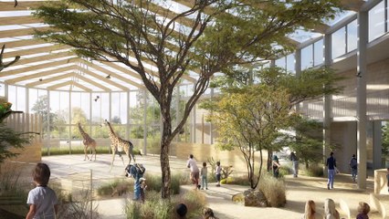 Zoo de Mulhouse: l'Afrique se profile à l'horizon