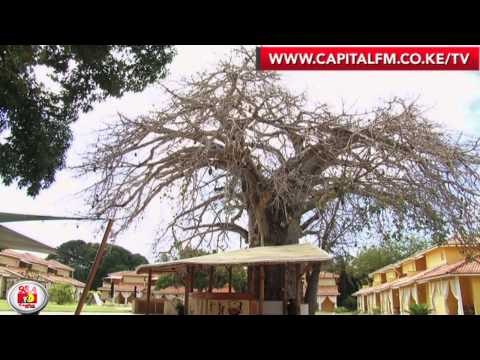 Exploring Malindi: The Village (The African Collection)