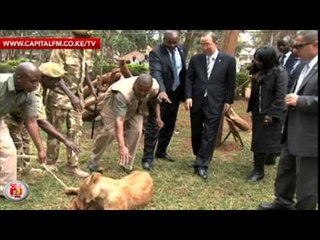 UN boss adopts a lion cub in Nairobi