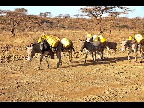 Residents of Badana, Isiolo, finally get water