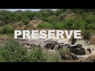 Citizen scientists: The endangered Grevy's Zebra needs your help