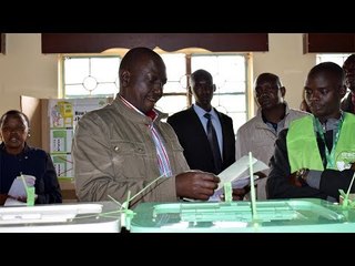 I’ll go back to rearing chicken, grow avocados if we lose – DP Ruto