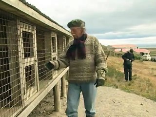 Ciervo Rojo
