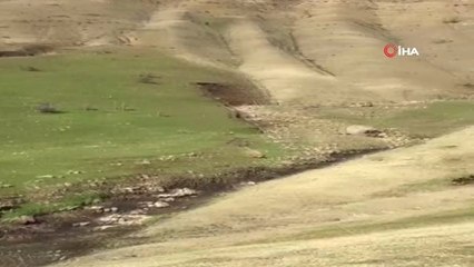 Derecik'te Kış Günü Bahar Keyfi