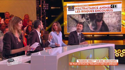 Maltraitance animale : des violences en hausse !