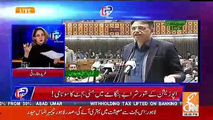 Gharida Farooqui Telling The Salient Features Of Mini Budget..