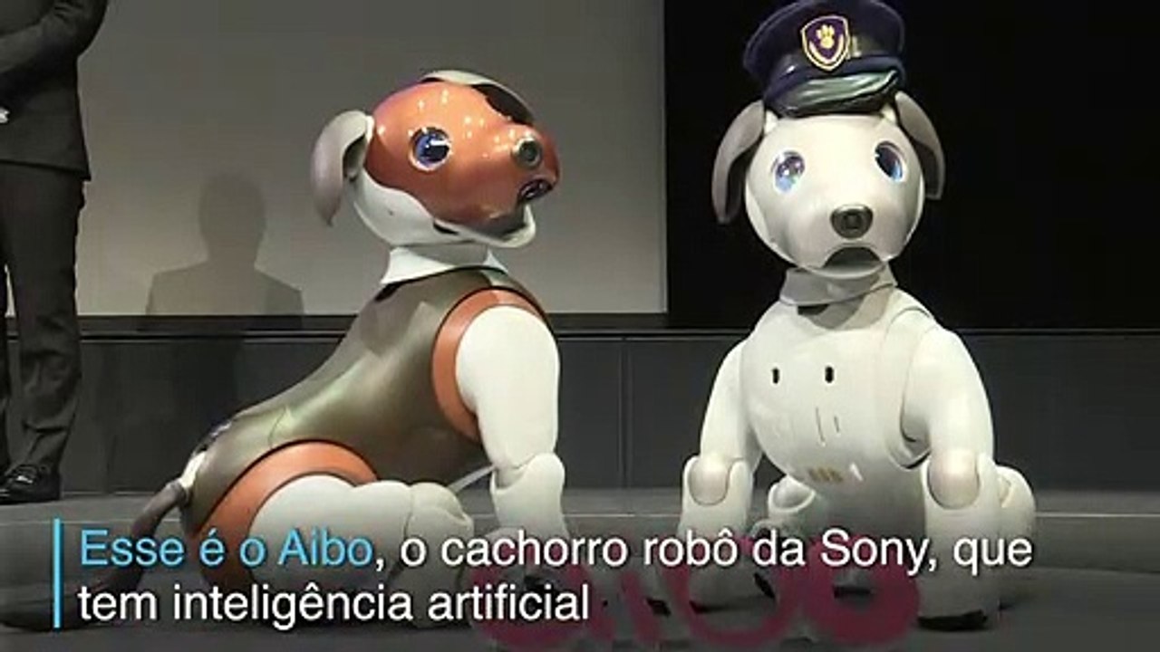 Fofo e atento
