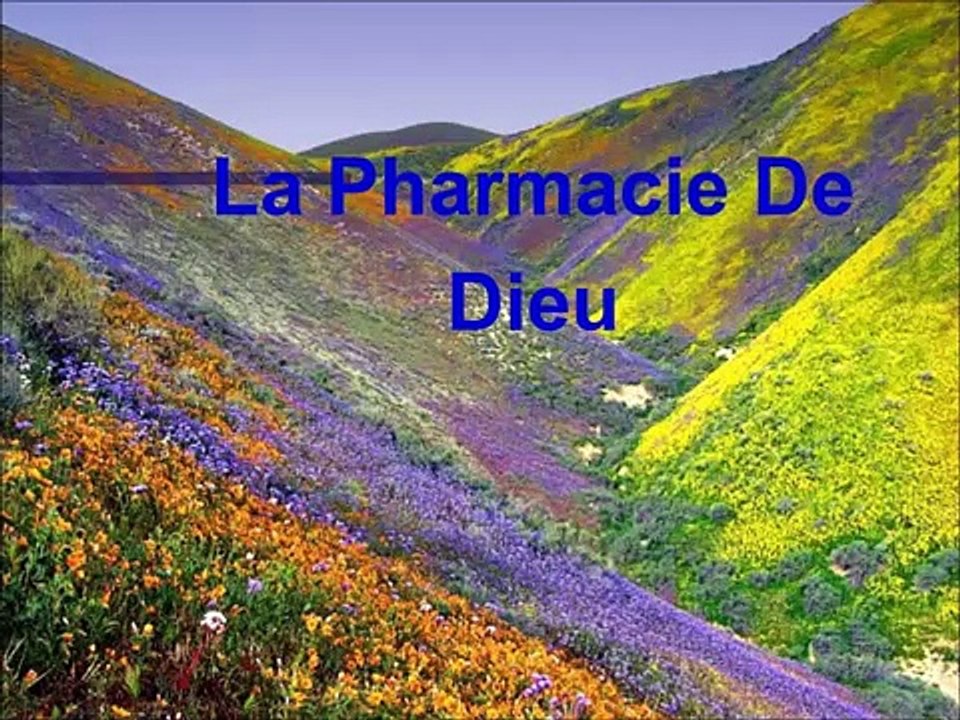 4.PHARMACIE DE DIEU