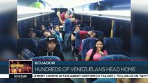 270 Venezuelan Migrants In Ecuador Return Home