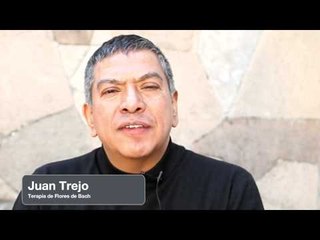 Qué son las flores de bach