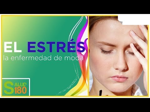 ¿Qué es el estrés? | Salud180