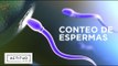 Movilidad y conteo normal de espermatozoides | ActitudFEM