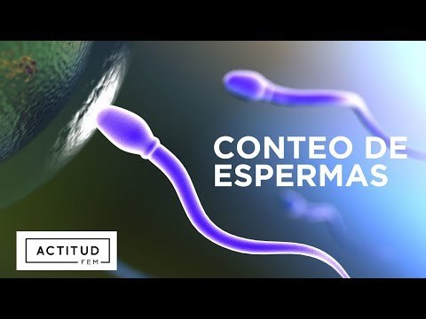 Movilidad y conteo normal de espermatozoides | ActitudFEM