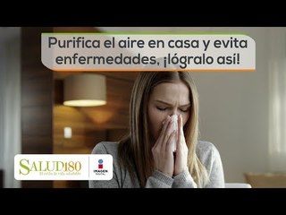 Purifica el aire en casa. ¡Lógralo así! | Salud180