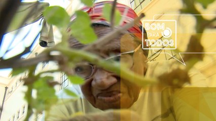 Alimentação orgânica, mais saúde e menos tóxico