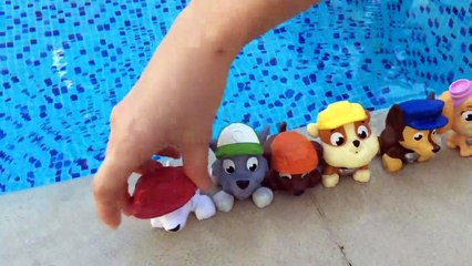 Paw Patrol Rocky Bath Pup Squirter Nickelodeon - Unboxing Demo Review