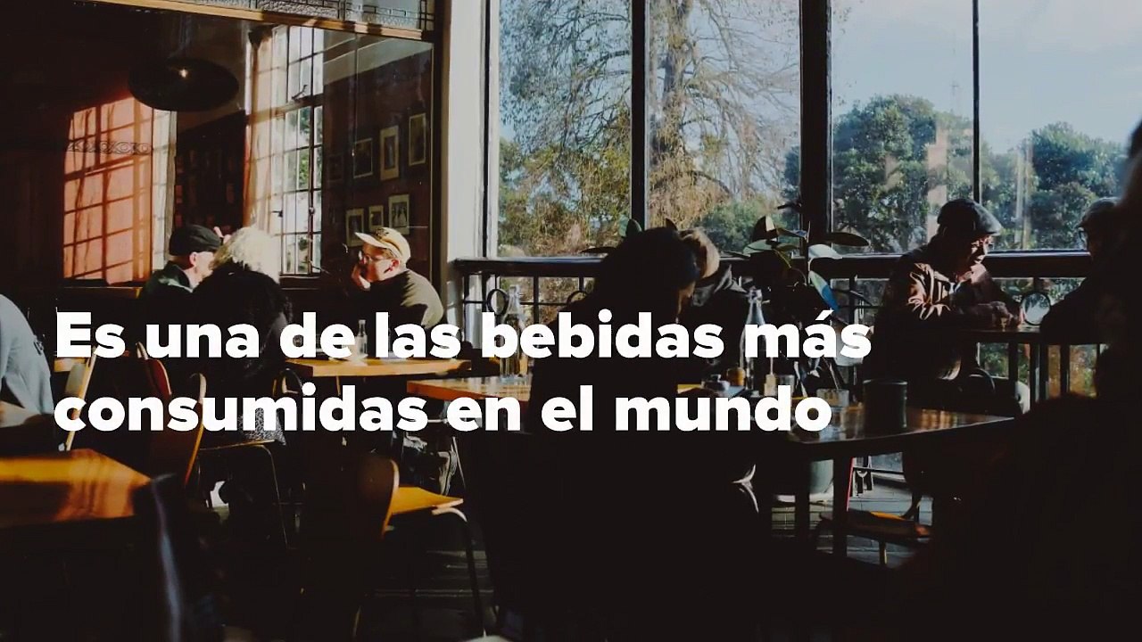 ¡Destacado! Miguel Ángel Marcano: Si estas en Estados Unidos, estas son las mejores ciudades para tomar un delicioso café