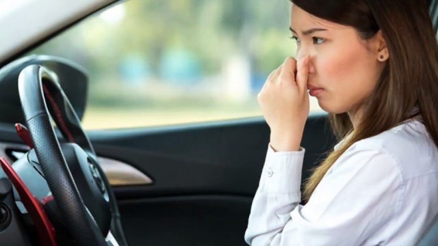 How to get Rid of Car Smells/Bad Odors