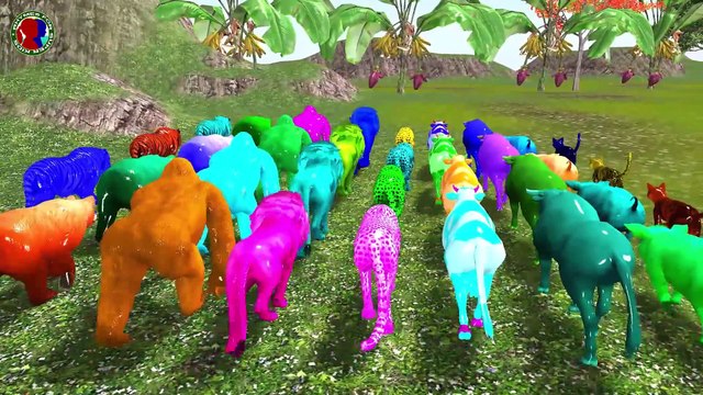 Farm animals and their offspring's transform into forest animals ll animals names and sounds
