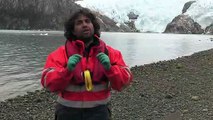 Patagonien - Freiluftlabor für den Klimawandel