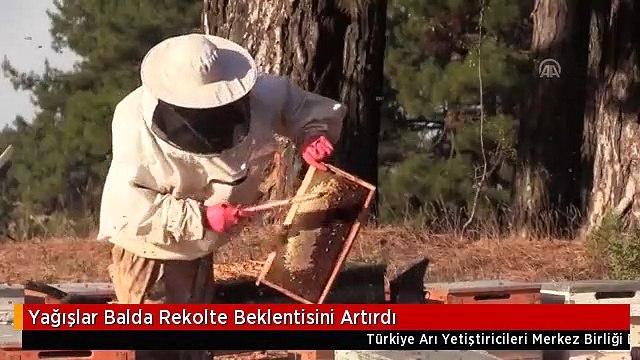 Yağışlar Balda Rekolte Beklentisini Artırdı