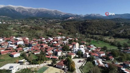 - OGM: '7 milyon kişi orman köyünde yaşıyor'