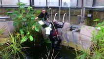 Counting The Exotic Fish at Bristol Zoo Gardens!