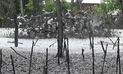 Pengeboran Sumur Di Aceh Sebabkan Semburan Gas Berlumpur