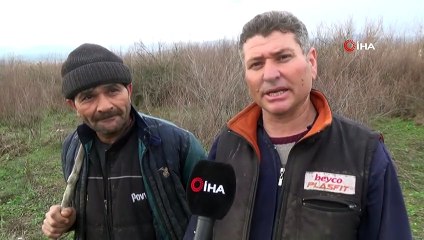 Bidon içerisinde bebek cesedi bulan çobanlar o anları anlattı