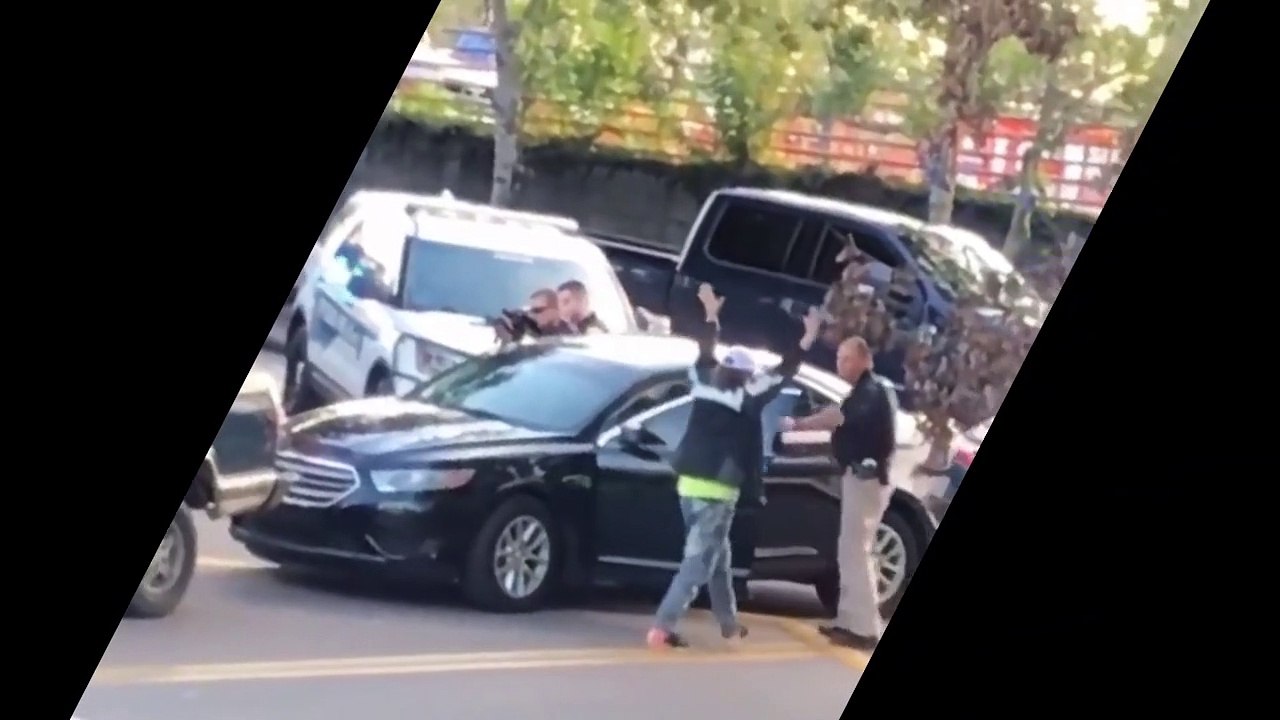 Une fillette de 2 ans les mains en l'air lors d'une arrestation (Floride)