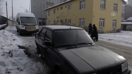 Soğuk hava ve sis - ARDAHAN